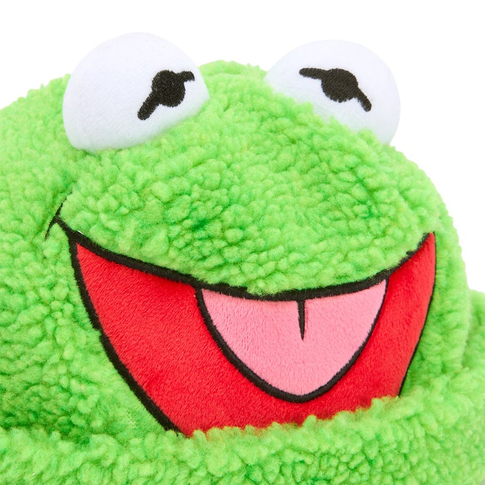 Kermit Beanie for Adults by Cakeworthy &ndash; The Muppets