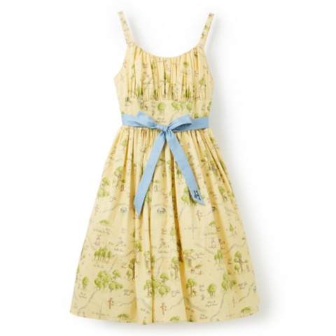 Disney Winnie the Pooh Dress for Women