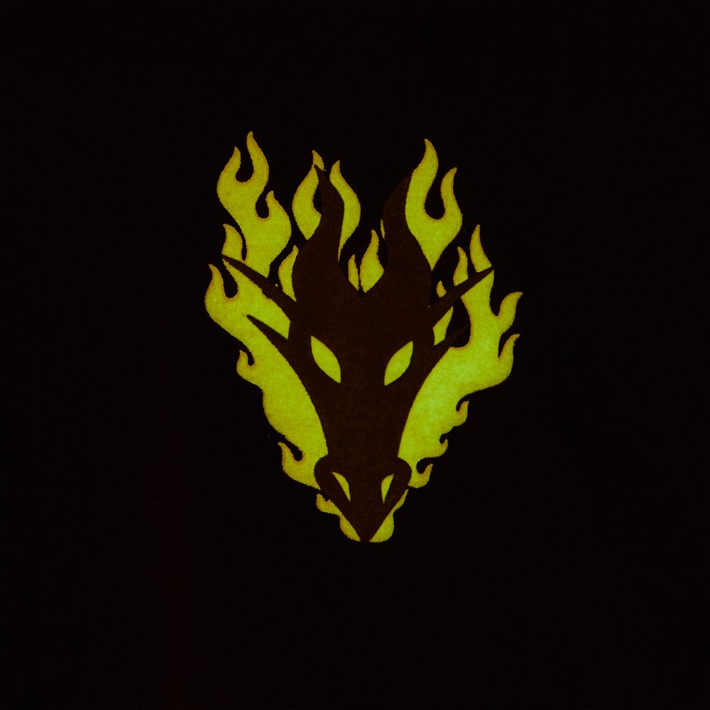 Disney Villains Logo Spirit Jersey for Adults