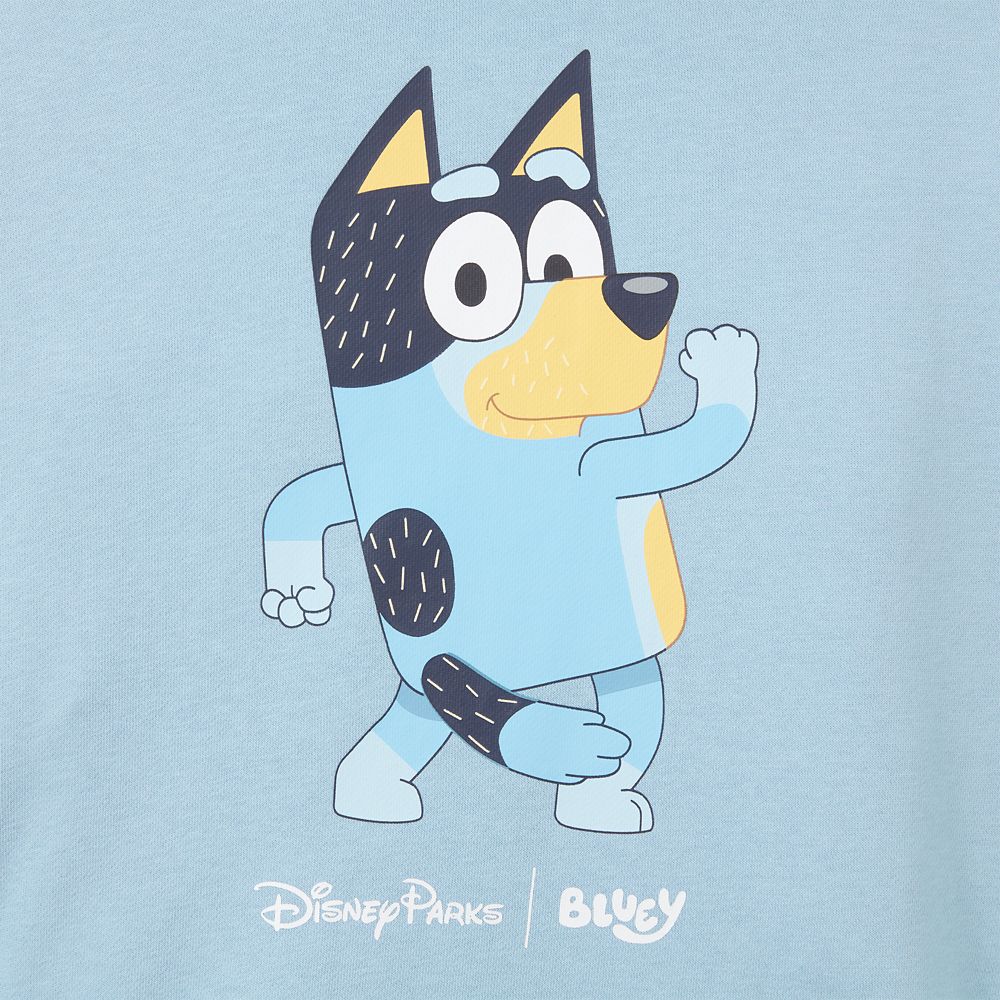 Bluey Pullover Hoodie for Adults &ndash; Walt Disney World