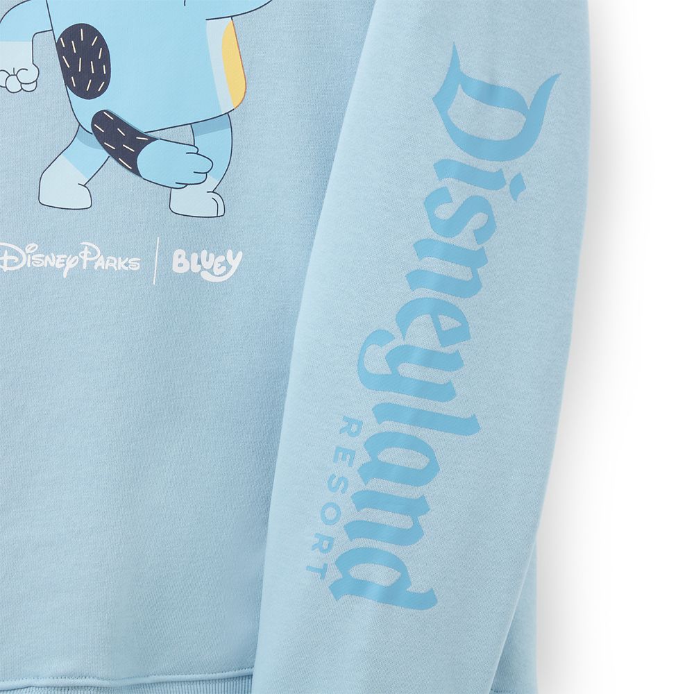 Bluey Pullover Hoodie for Adults &ndash; Disneyland
