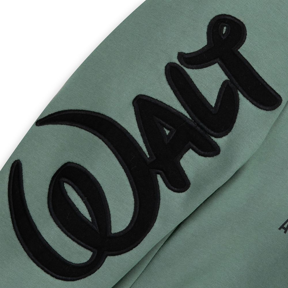 Walt Disney World Logo Zip Hoodie for Adults - Green