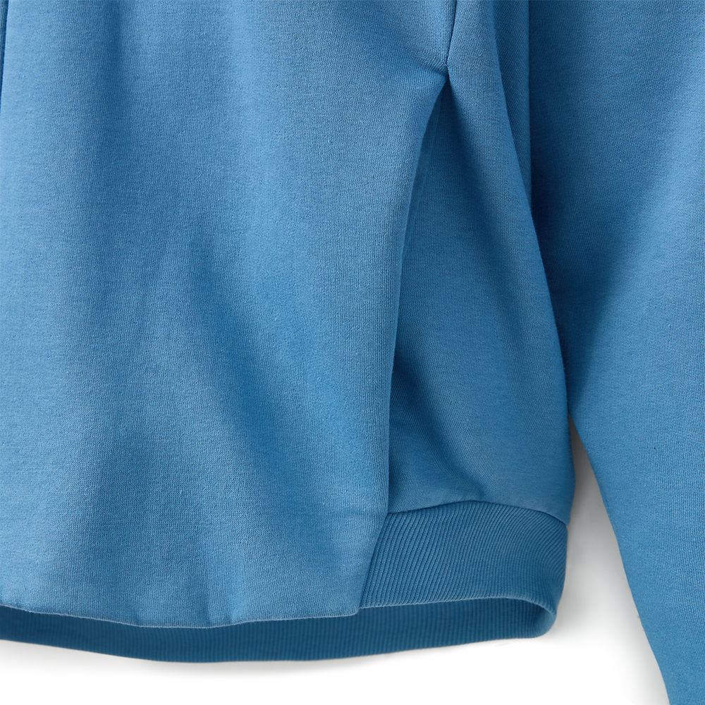 Disneyland Logo Zip Hoodie for Adults &ndash; Light Blue