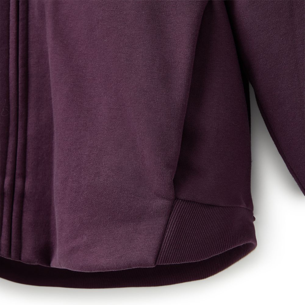 Disneyland Logo Zip Hoodie for Adults &ndash; Purple