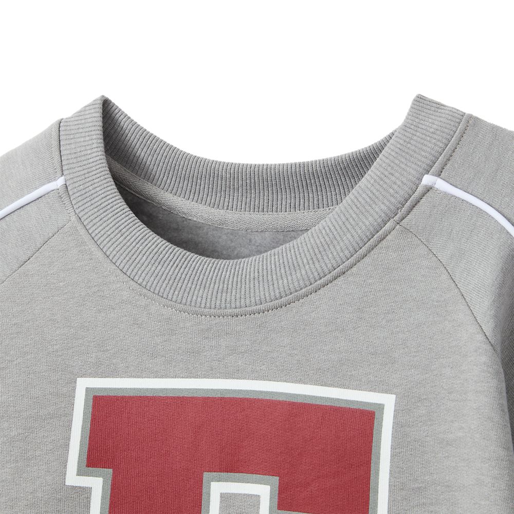 Eeyore Pullover Sweatshirt for Adults &ndash; Winnie the Pooh and the Honey Tree