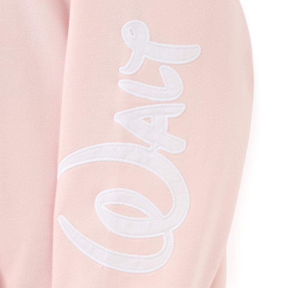 Walt Disney World Zip Hoodie for Adults &ndash; Pink