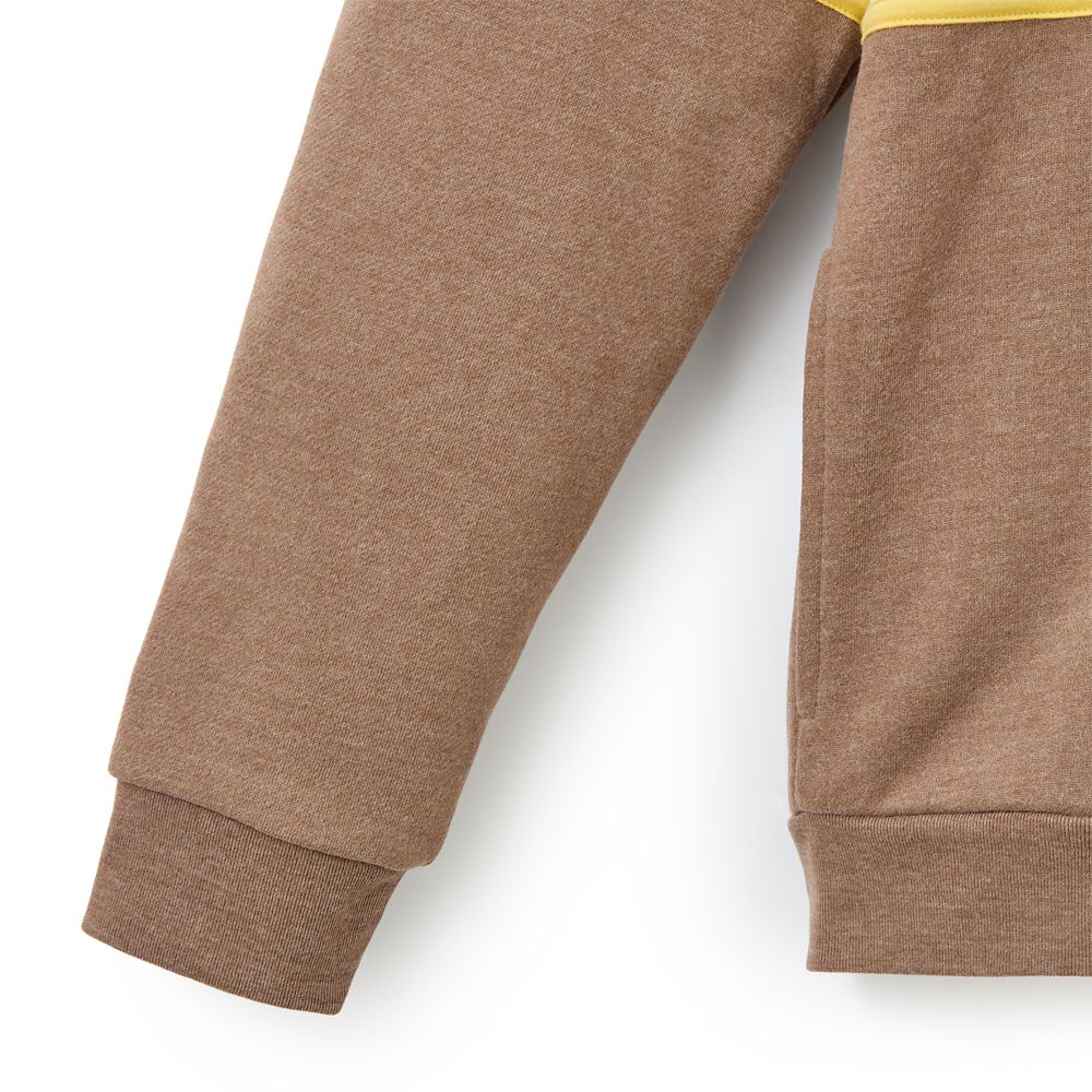 Winnie the Pooh and Pals 1/4 Zip Pullover for Adults