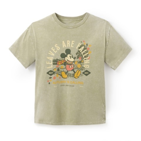 Мужские футболки Disney Mickey Mouse Fall T-Shirt for Adults