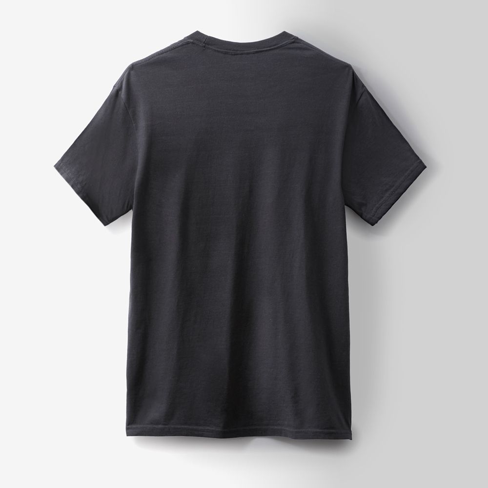 Scar Disney | Bobby Kim T-Shirt for Adults &ndash; The Lion King &ndash; Black &ndash; Limited Time Release