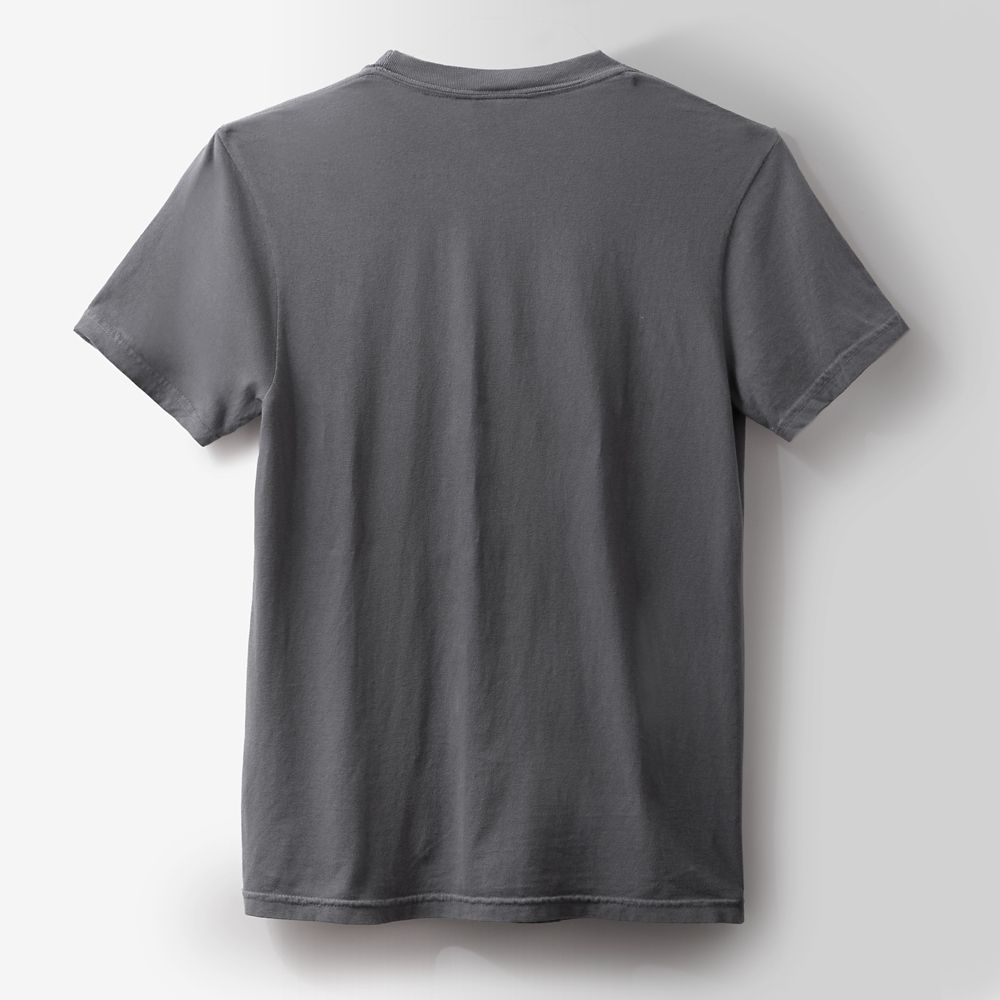 Magica de Spell Disney | Bobby Kim T-Shirt for Adults &ndash; Gray &ndash; Limited Release
