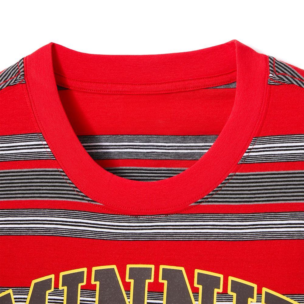 Minnie Mouse Striped T-Shirt for Adults