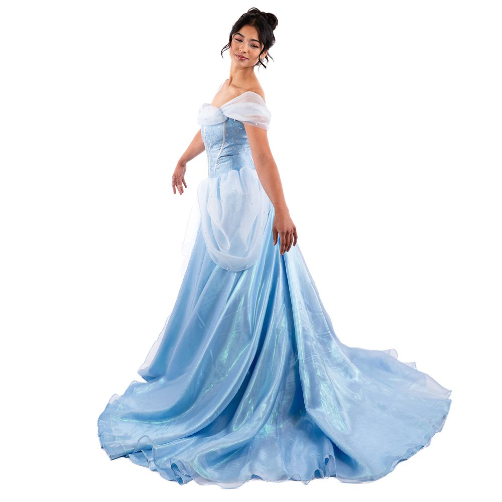 Cinderella Cosplay Costume for Adults by A Leading Role