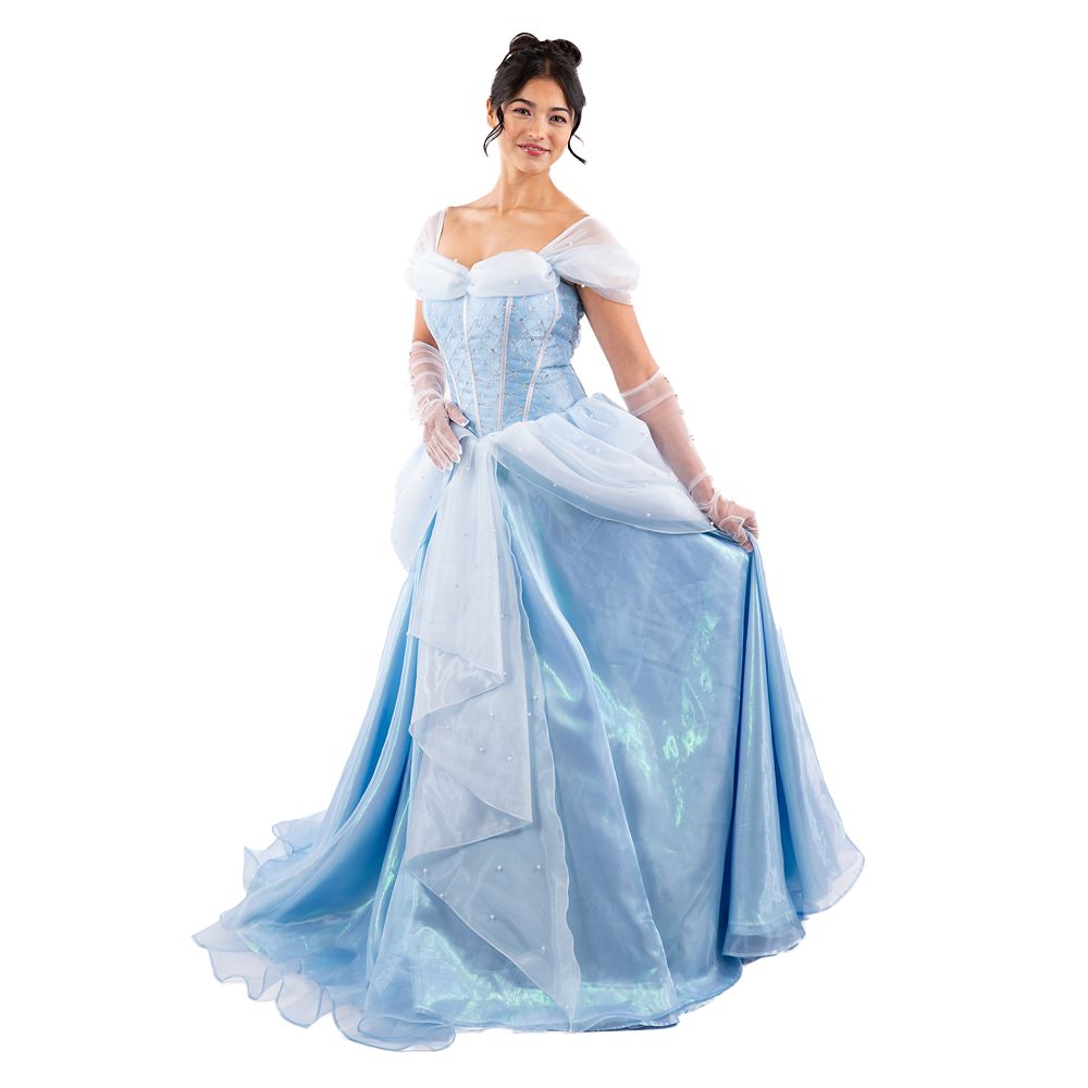 Cinderella Cosplay Costume for Adults by A Leading Role