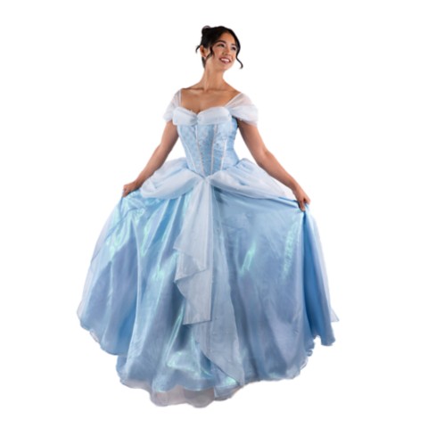 Disney Cinderella Cosplay Costume for Adults by A Leading Role
