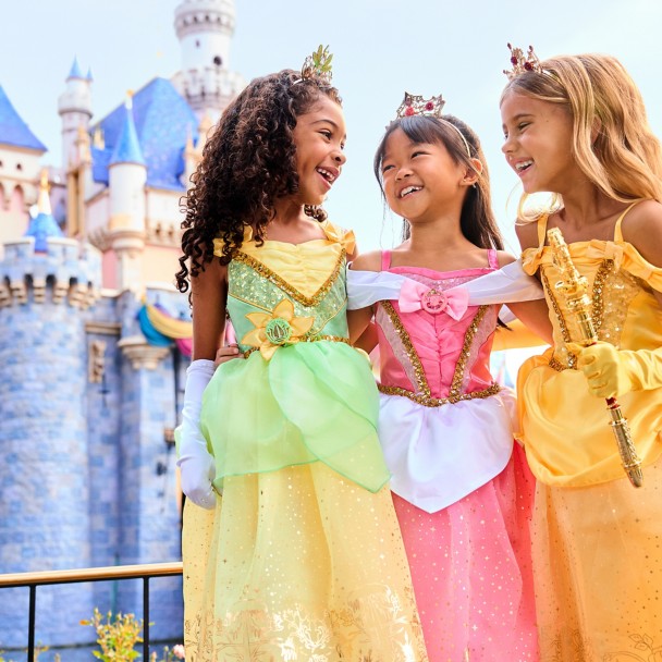 princess aurora dress Disney Sleeping Beauty Premium Costume | Adult | Womens | L | Pink/White she can let her imagination run wild and become the princess she truly is Dreamy collection Aurora Gradient pink