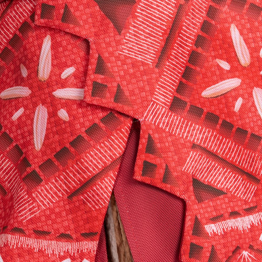 Moana 2 Costume Dress for Girls