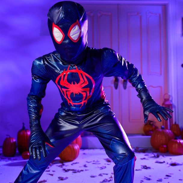 Spider-Man Miles Morales Kids Costume Into the Spiderverse Spider-Man Miles Morales Kids Costume Into the Spiderverse