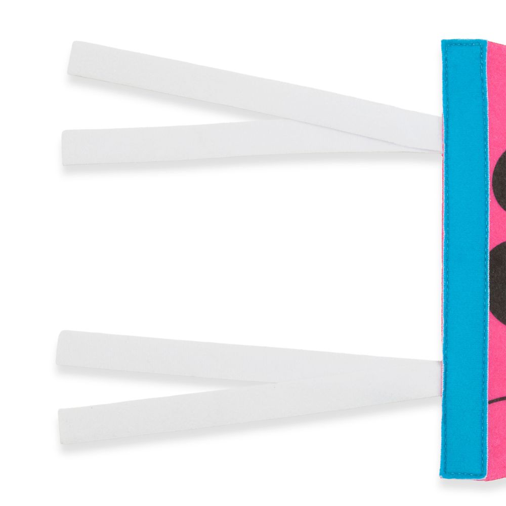 Mickey Mouse ''The Disney Store'' Pennant