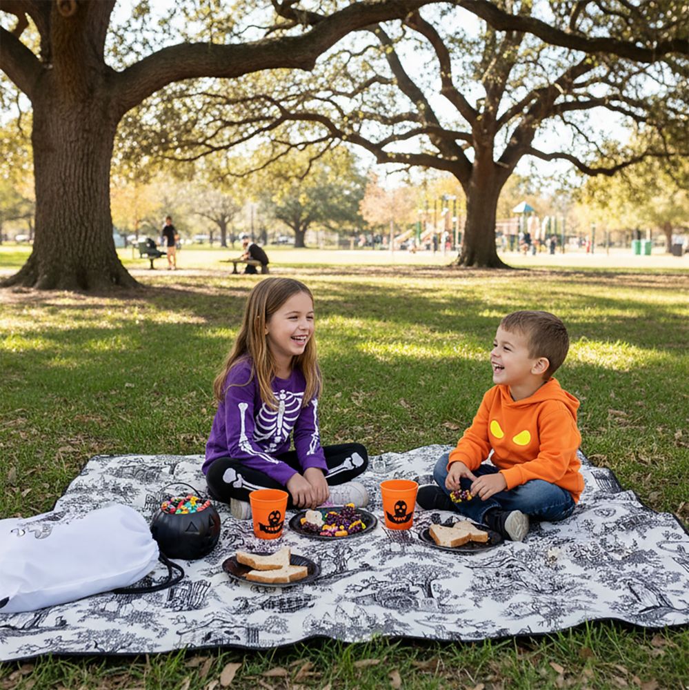 The Haunted Mansion Impresa Blanket by Picnic Time