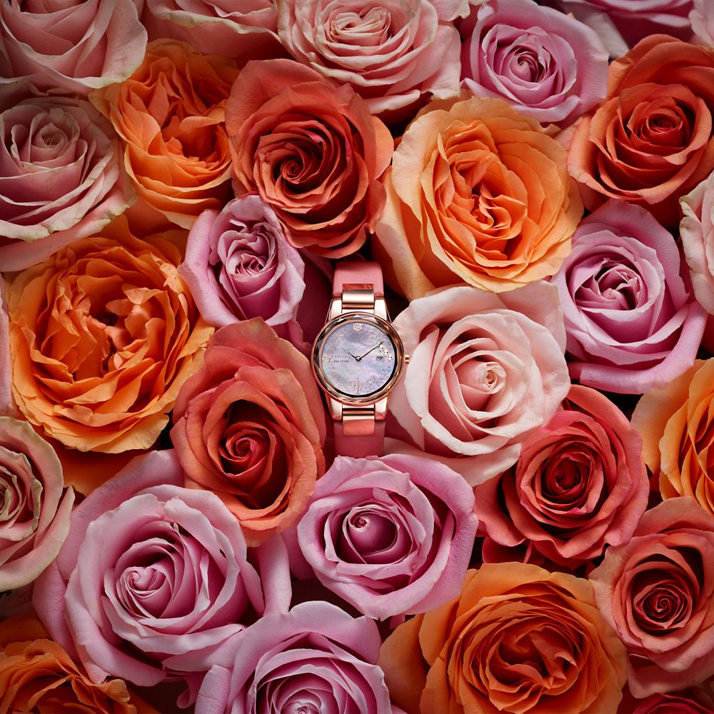 Belle Watch and Pin Set by Citizen - Beauty and the Beast