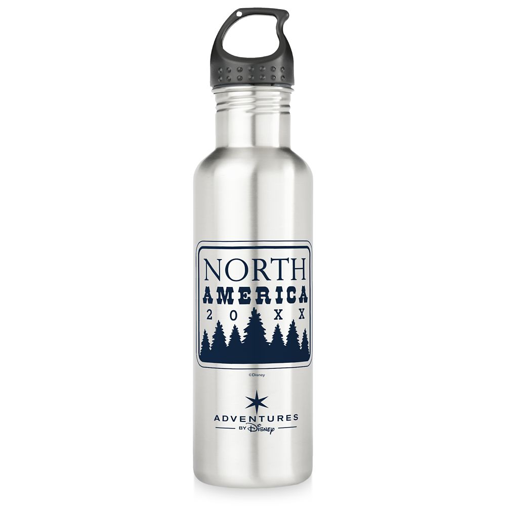 Adventures by Disney North America Family Adventure Stainless Steel Water Bottle Customizable