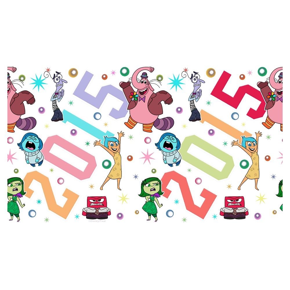 Inside Out Stainless Steel Water Bottle