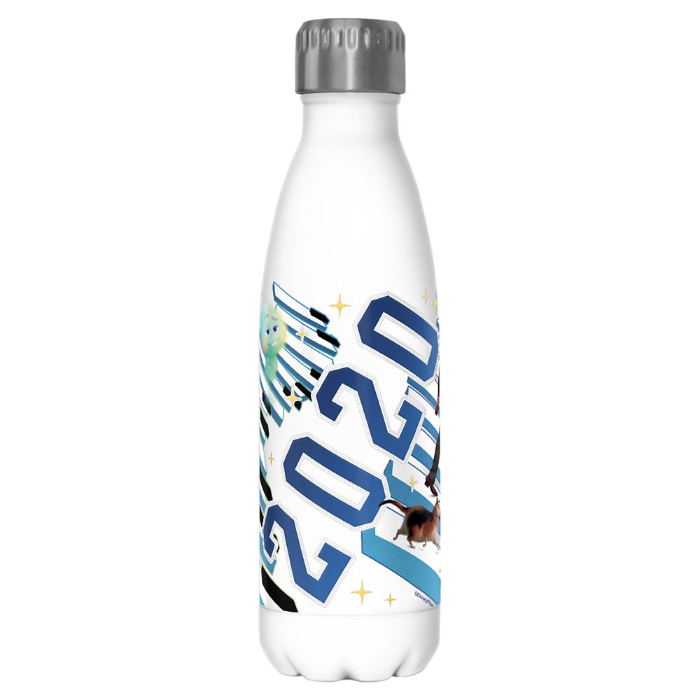 Soul Stainless Steel Water Bottle