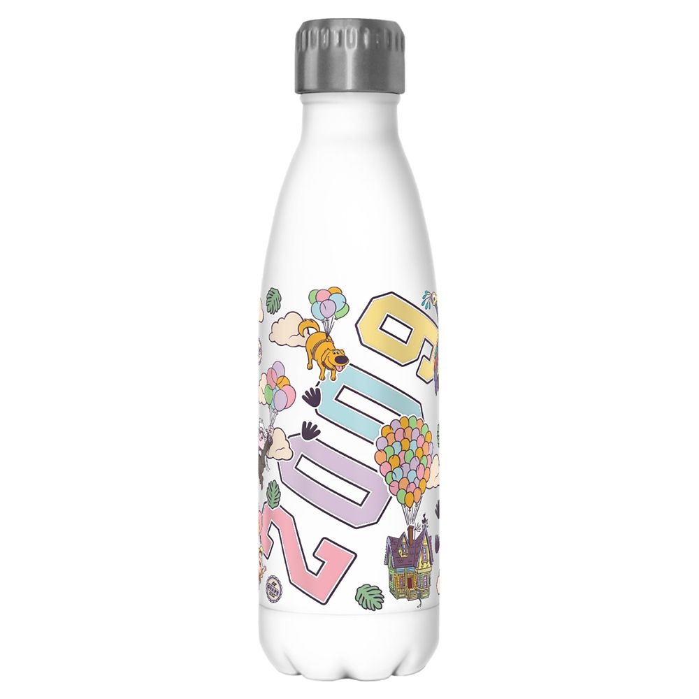 Up Stainless Steel Water Bottle