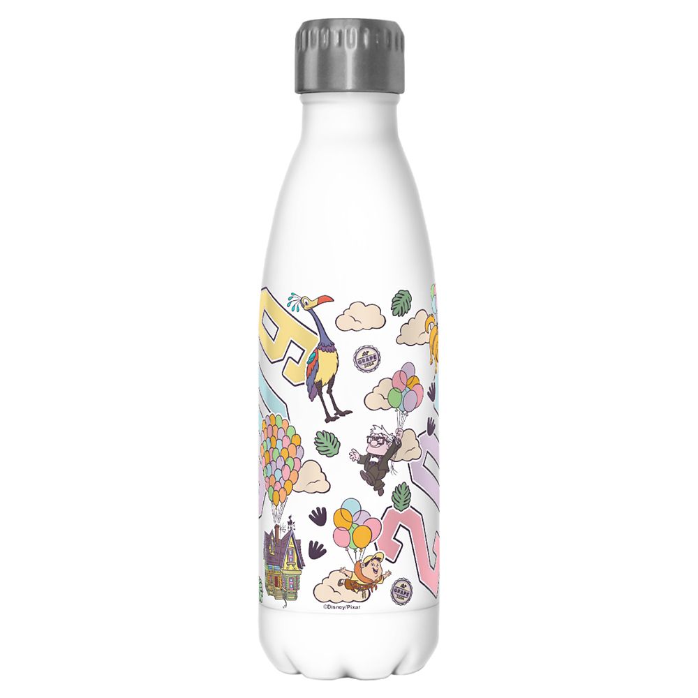 Up Stainless Steel Water Bottle