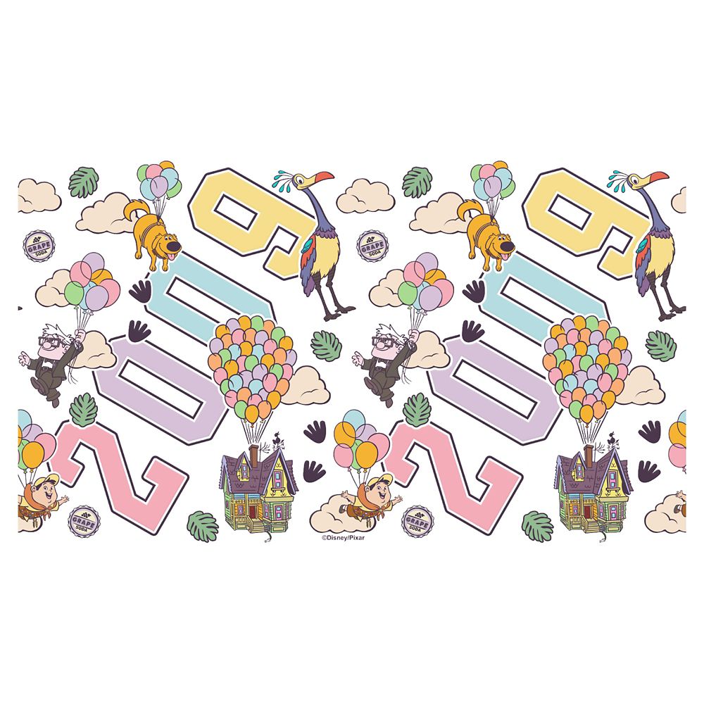 Up Stainless Steel Water Bottle