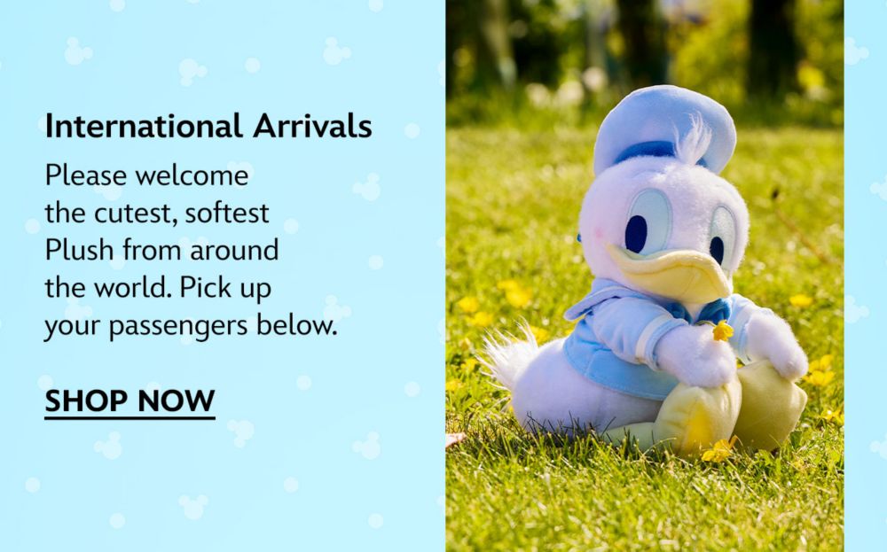 International Arrivals | Shop Now