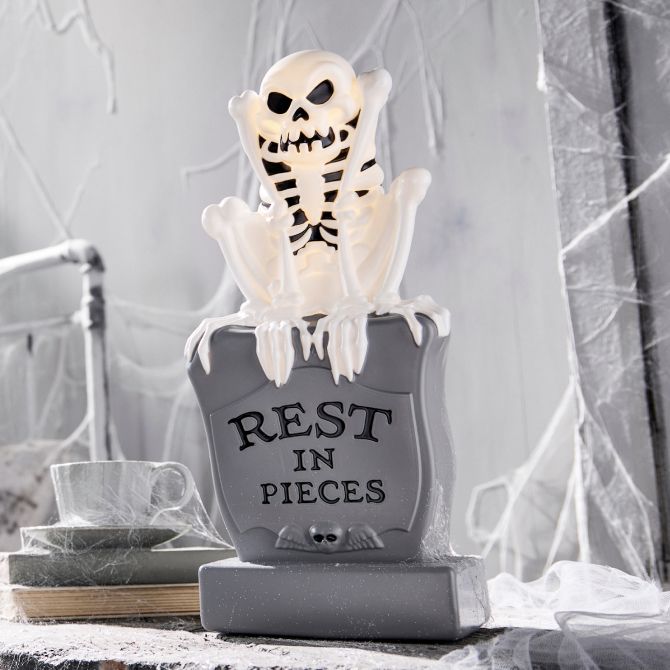 Coveted Curiosities