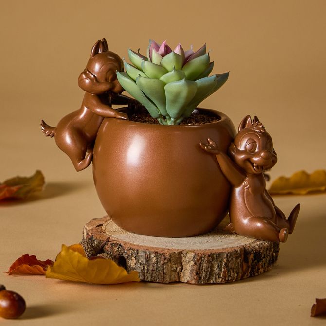 Shop Home D&eacute;cor 