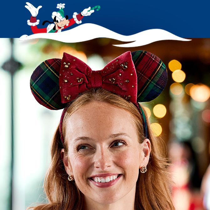 Holiday Accessories