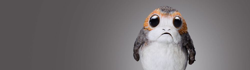 Background image of Porgs